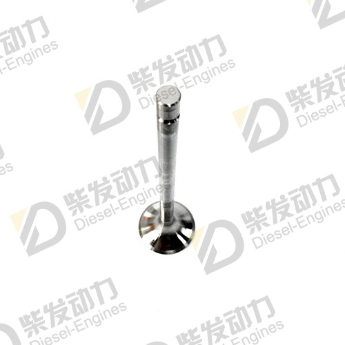 Exhaust valve 1556896